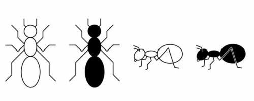 top view and side view ant icon set isolated on white background vector