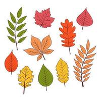 hojas de otoño. ilustración vectorial en estilo dibujado a mano vector