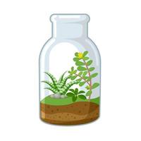 Vector illustration, Cute terrarium in a glass jar, isolated on white background.