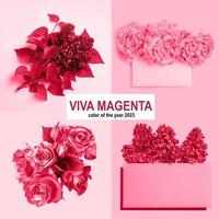 Collage with color of the year 2023 - Viva Magenta photo