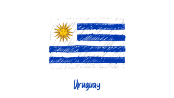 Uruguay National Country Flag Pencil Color Sketch Illustration with Transparent Background png