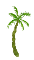 waterverf palm boom PNG