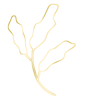 Gold Leaf Illustration png