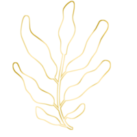 feuille d'or png