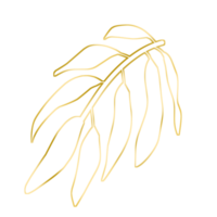 Gold Leaf Illustration png