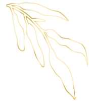 Gold Leaf Illustration png