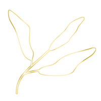 ilustração de folha de ouro png