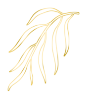 Gold Leaf Illustration png