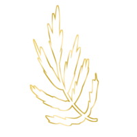 Gold Leaf Illustration png