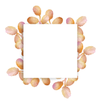 cadre aquarelle feuille png