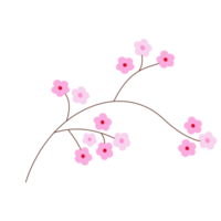 pink flower isolated png