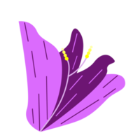 púrpura floral aislado png