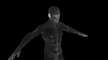 A wireframe anatomical man rotates - Loop video