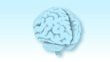 un cerebro humano gira sobre un fondo azul claro - bucle video