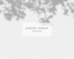 Shadow overlay effect. Natural shadows isolated on transparent background. Vector illustration.