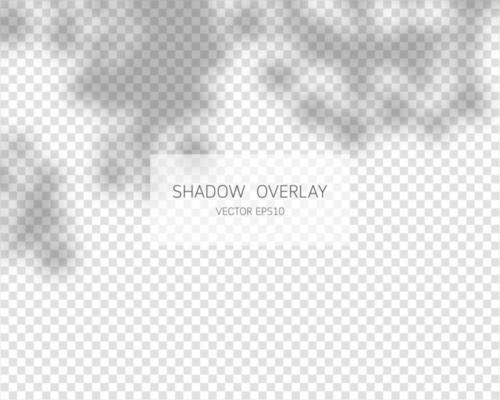 Shadow overlay effect. Natural shadows isolated on transparent background. Vector illustration.