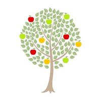 Apple-tree with apples on a white background. A vector illustration