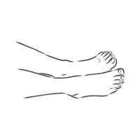 human legs vector sketch