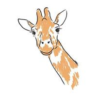 giraffe vector sketch