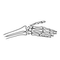 hands vector sketch