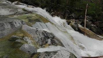 Scenic view of waterfall in forest video