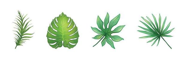 Tropical Leaves for Summer Season Watercolor Set 01 vector