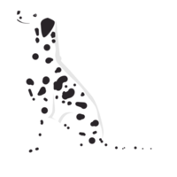 cão dálmata em pé png