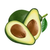 illustration de fruits d'avocat. png