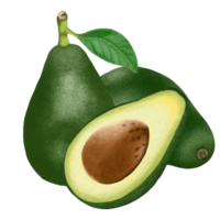 avocado frutta illustrazione. png