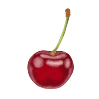 ilustración de cerezas rojas. png