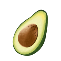 Avocado fruit illustration. png