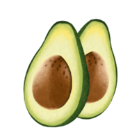 avokado frukt illustration. png