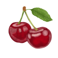 ilustración de cerezas rojas. png