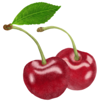 Red Cherries Illustration. png