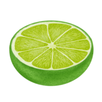 illustration de citron vert, peinture couleur. png