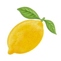 illustration de citron, peinture couleur. png