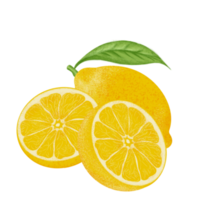 illustration de citron, peinture couleur. png