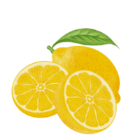 Limone illustrazione, colore la pittura. png