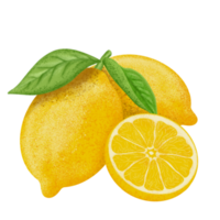 Lemon illustration, color painting. png