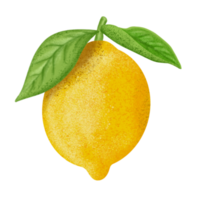 Lemon illustration, color painting. png