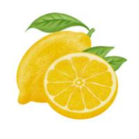 Lemon illustration, color painting. png