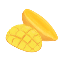 Mango fruit illustration.