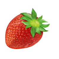 Strawberry fresh fruit illustration, color painting. png