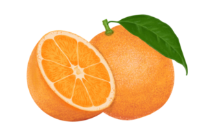 ilustración naranja, pintura en color.