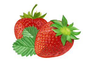 jordgubb färsk frukt illustration, Färg målning. png