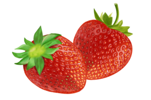 Strawberry fresh fruit illustration, color painting. png
