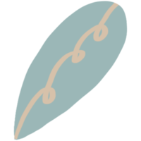 Bohemian Shape Aesthetic Leaf png