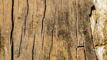 textura de madera vieja como fondo foto