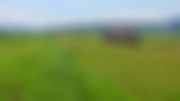 defocused cabin in the middle of the rice fields surrounded by hills photo