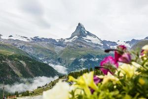 Idyllic landscape in the Alps with fresh green meadows and blooming flowers and snowcapped mountain tops in the background. photo